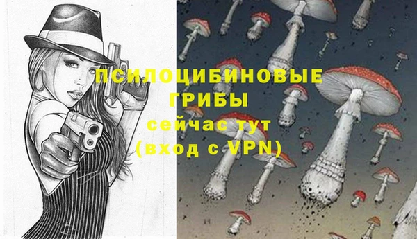 бошки Алзамай